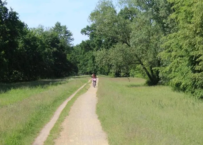 Spreewald Noack 公寓 吕本