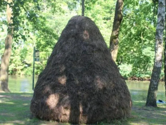 公寓 Spreewald Noack 吕本